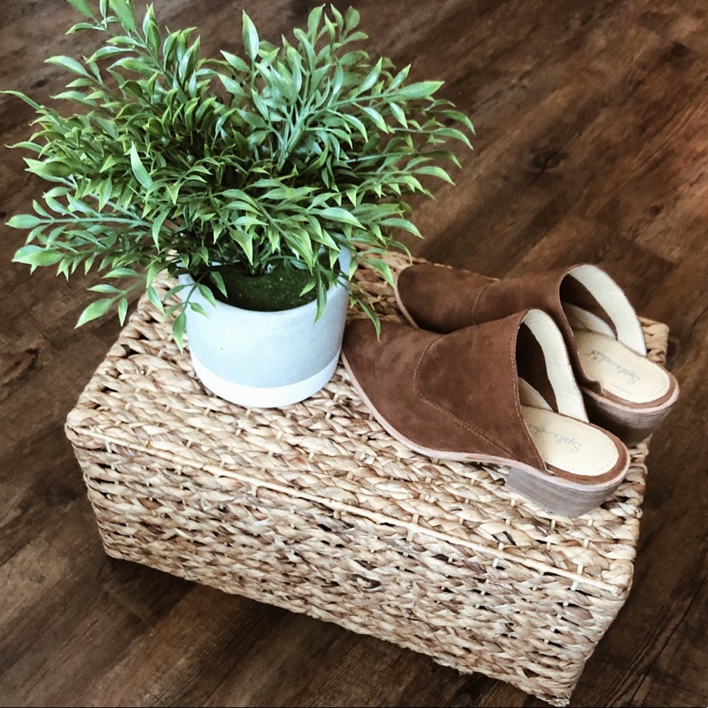 NWT Splendid Mule Booties